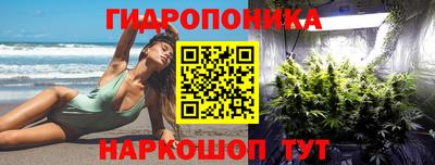 mdpv Лесосибирск