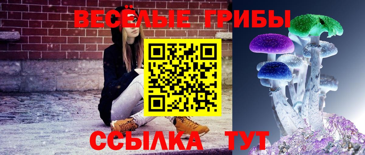 Псилоцибиновые грибы ЛСД Губкин